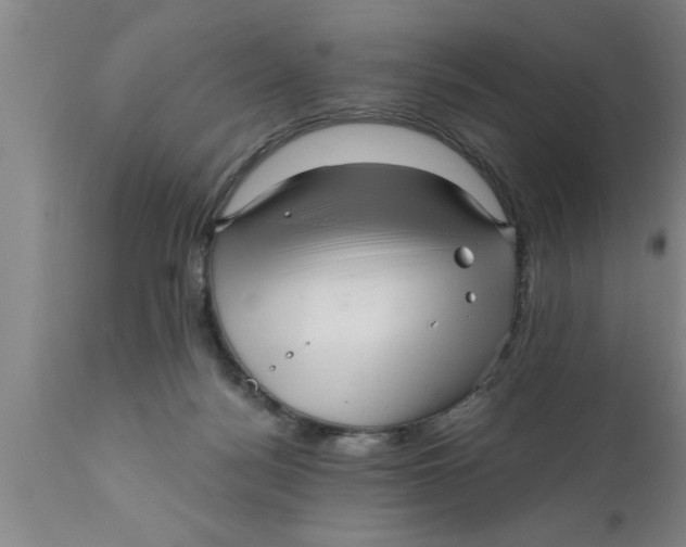 X0000111160172200907211235