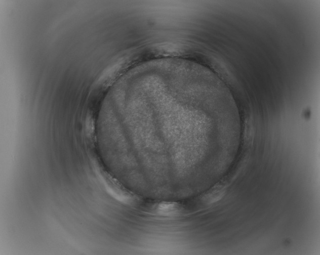 X0000111160173200907211235