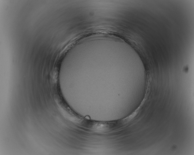 X0000111160174200907211235