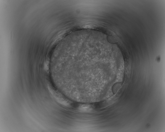 X0000111160175200907211235