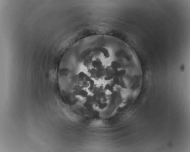 X0000111160177200907211235