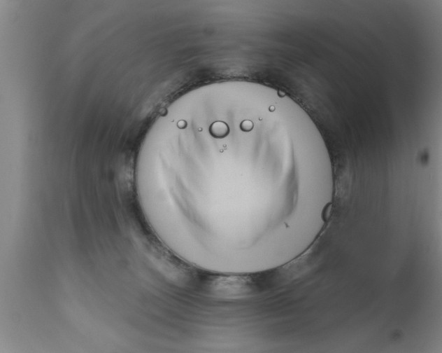 X0000111160179200907211235