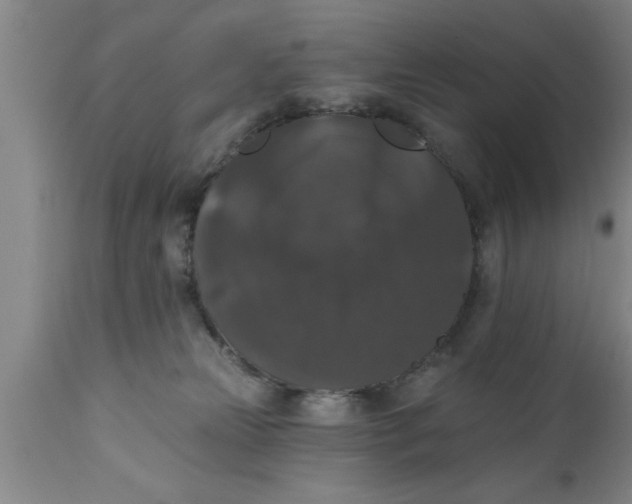 X0000111160181200907211235