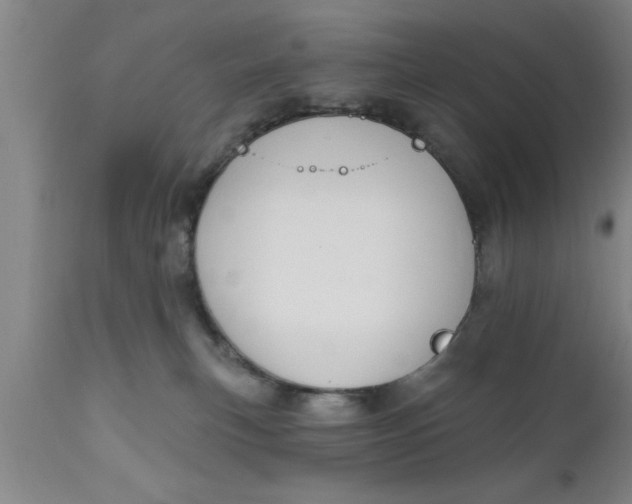 X0000111160183200907211235