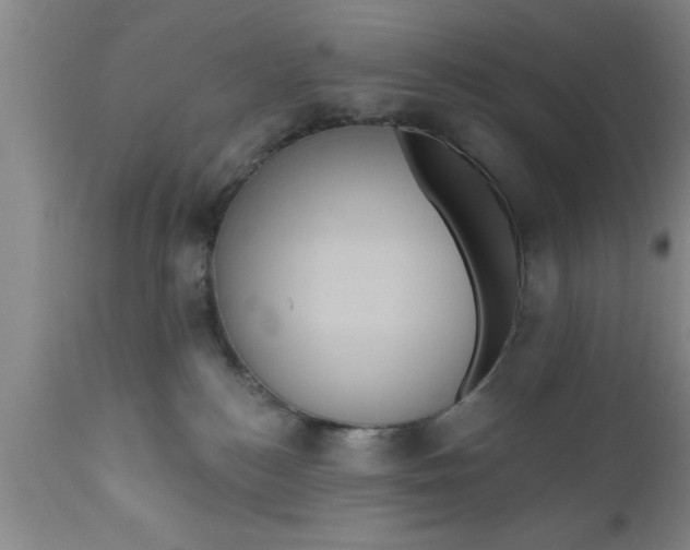 X0000111160184200907211235