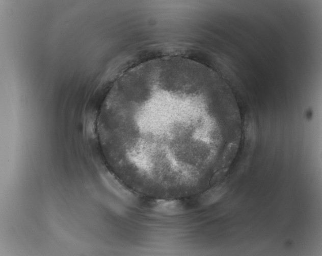 X0000111160185200907211235