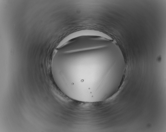 X0000111160186200907211235