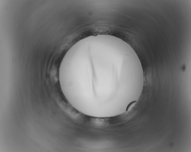 X0000111160187200907211235