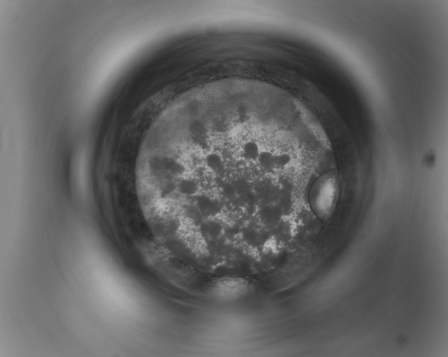 X0000111160189200907211235