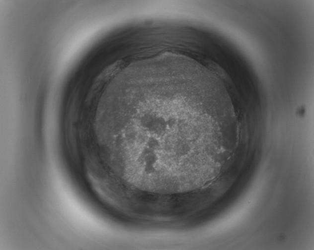 X0000111160191200907211235