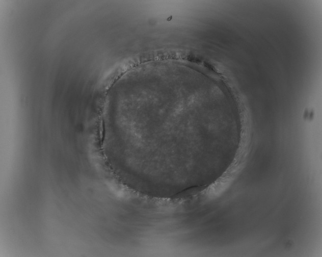 X0000111160192200907211236