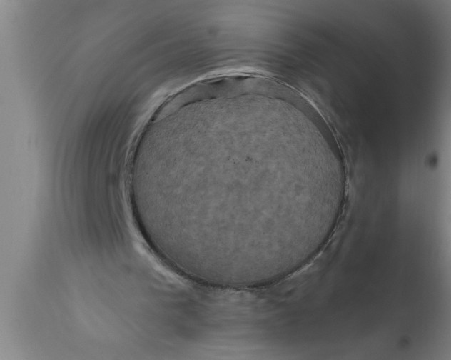 X0000111160193200907211235