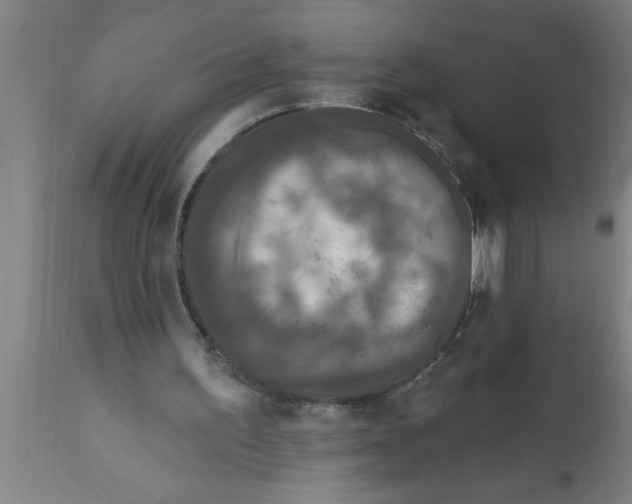 X0000111160195200907211235