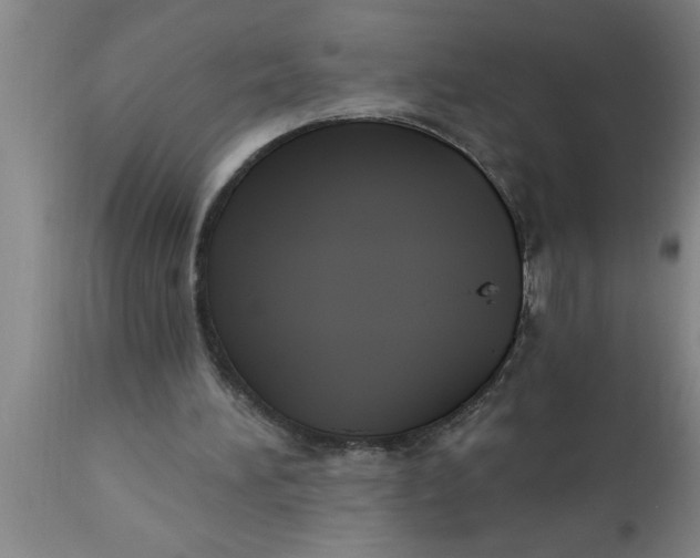 X0000111160196200907211235