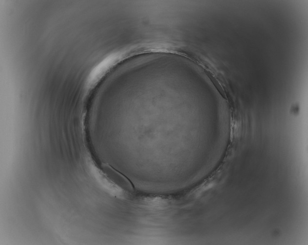 X0000111160197200907211235