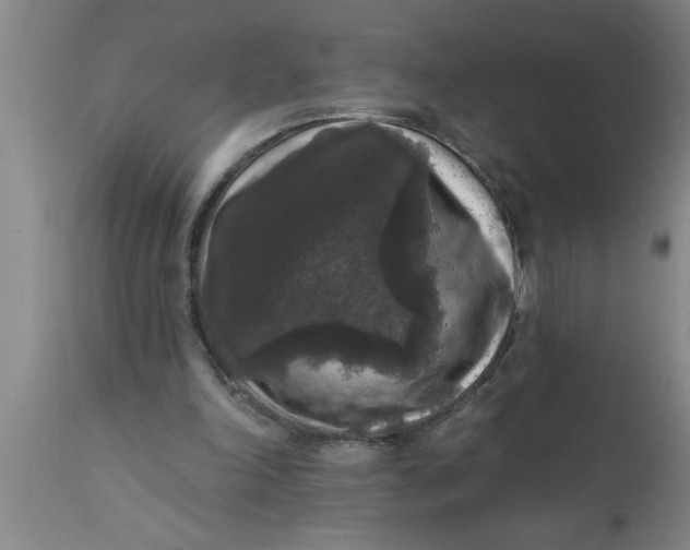 X0000111160198200907211235