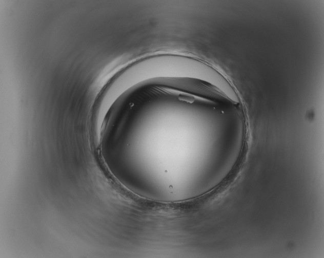 X0000111160199200907211235