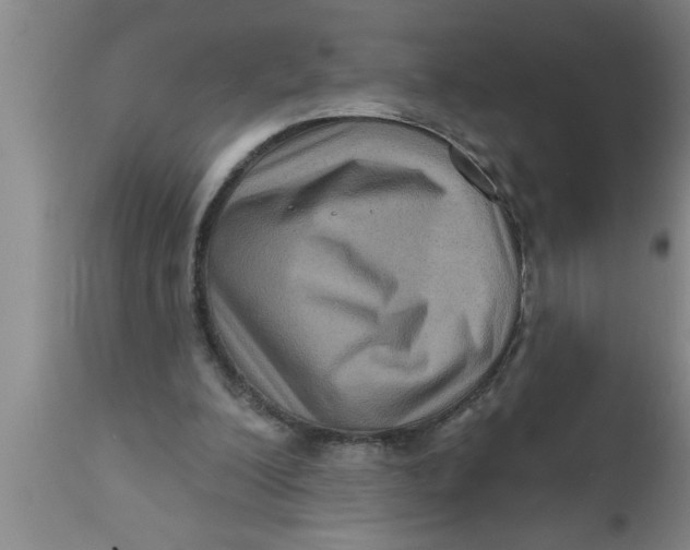 X0000111160200200907211235