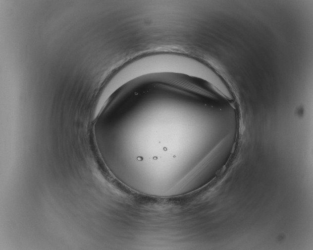 X0000111160201200907211235