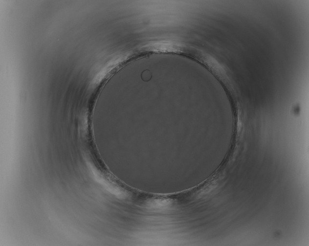 X0000111160202200907211235