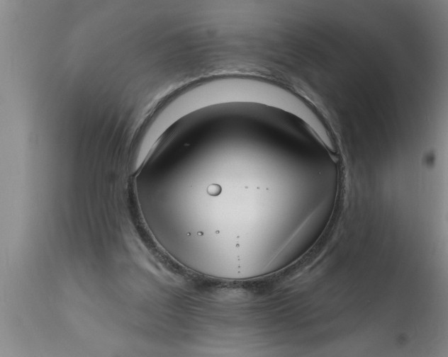 X0000111160203200907211235