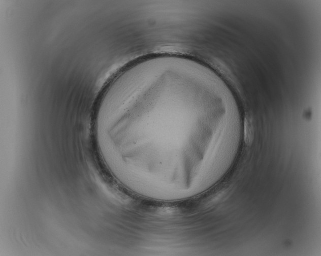 X0000111160204200907211235