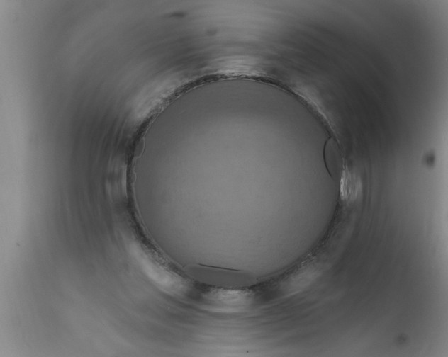 X0000111160205200907211235