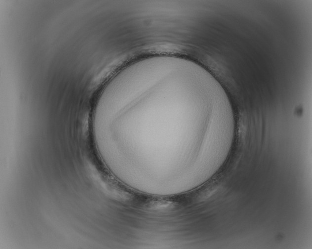 X0000111160206200907211235