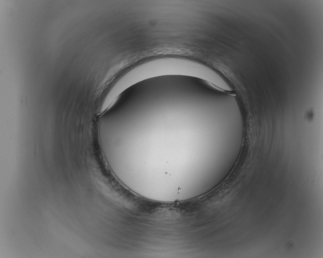 X0000111160207200907211235