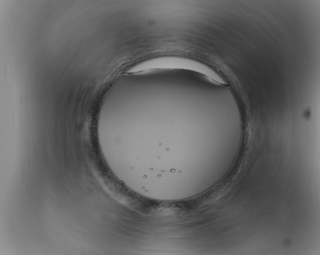 X0000111160209200907211235