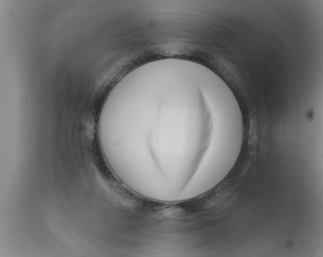 X0000111160210200907211235