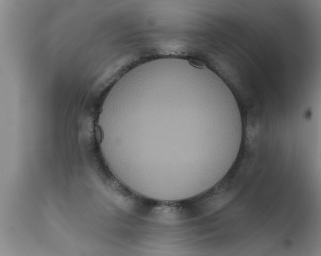 X0000111160211200907211235