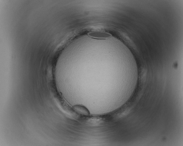 X0000111160213200907211235