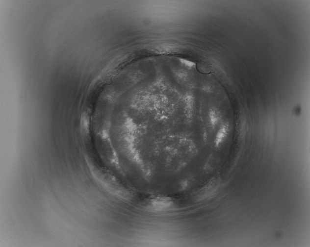 X0000111160214200907211235