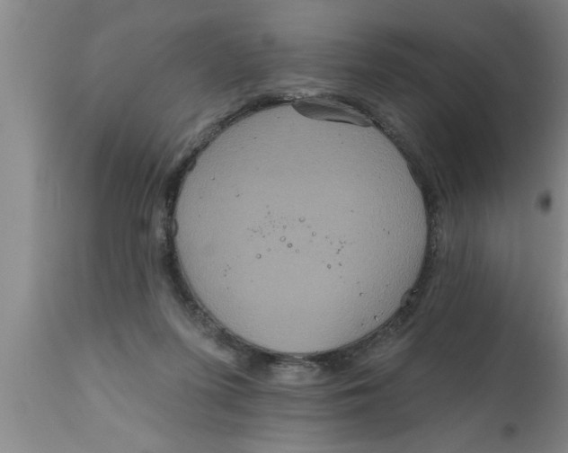 X0000111160215200907211235