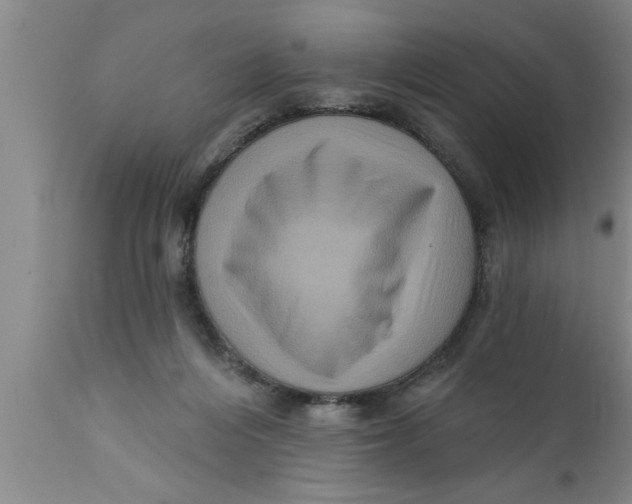 X0000111160216200907211235