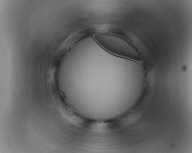 X0000111160217200907211235