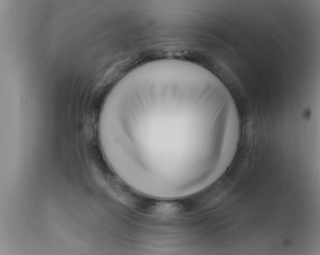 X0000111160218200907211234