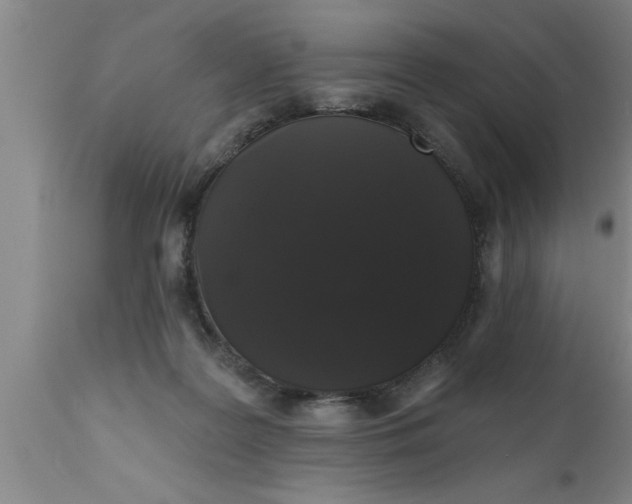 X0000111160219200907211234