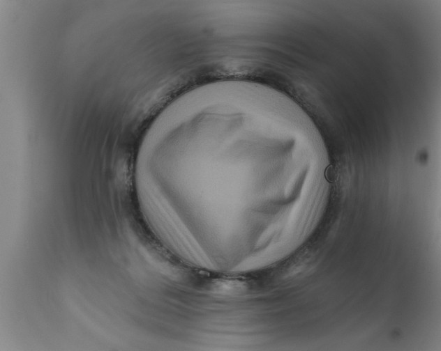 X0000111160220200907211234