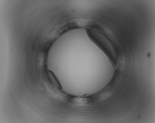 X0000111160221200907211234