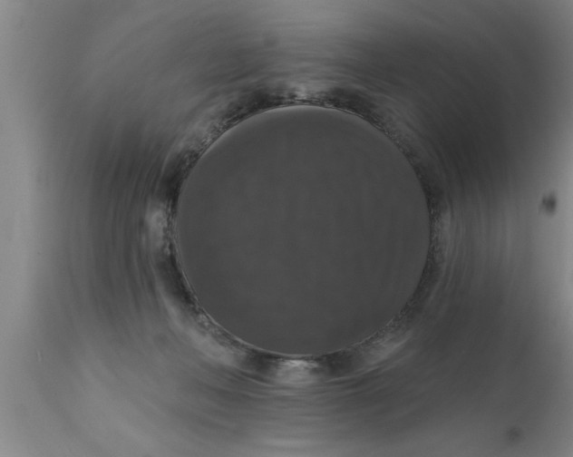 X0000111160222200907211234