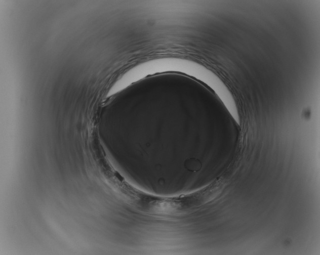 X0000111160223200907211234