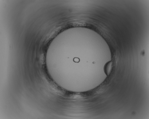 X0000111160224200907211234