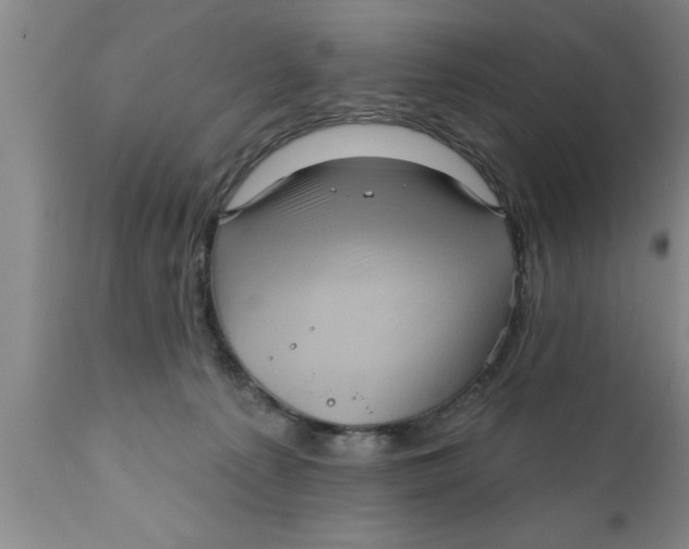 X0000111160225200907211234