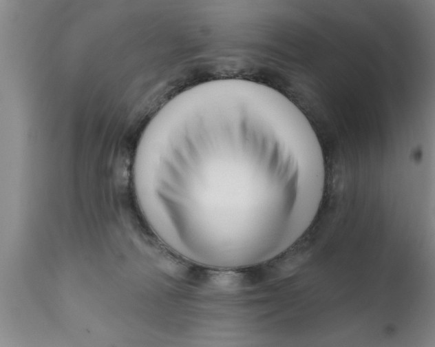 X0000111160226200907211234