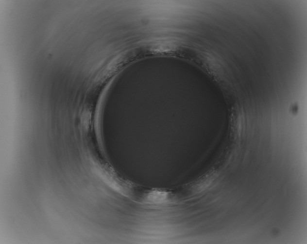 X0000111160227200907211234