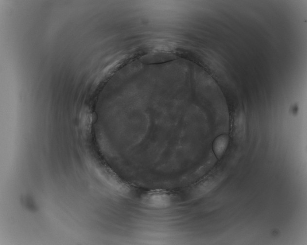 X0000111160228200907211234