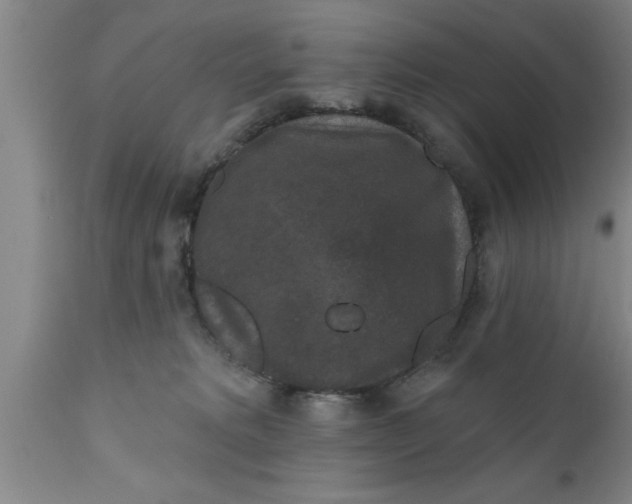 X0000111160229200907211234