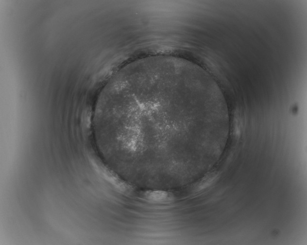 X0000111160230200907211234